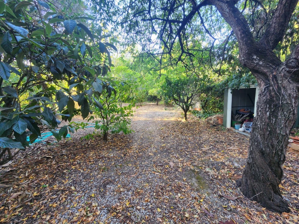 Terreno para Venda em Carcavelos e Parede Foto 5