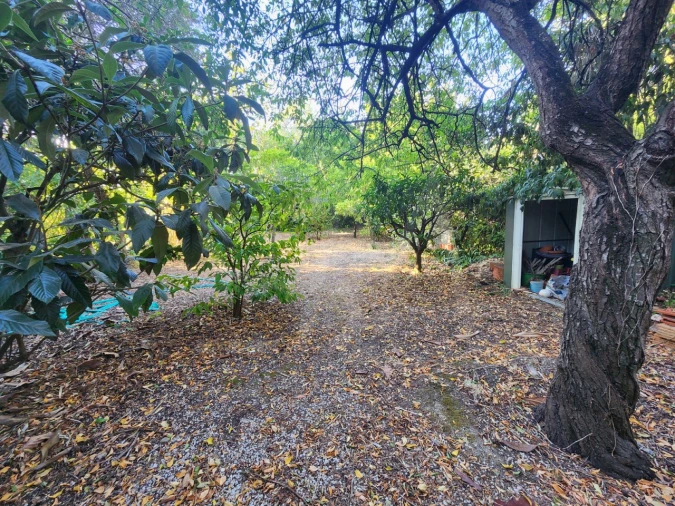 Terreno para Venda em Carcavelos e Parede Foto 5