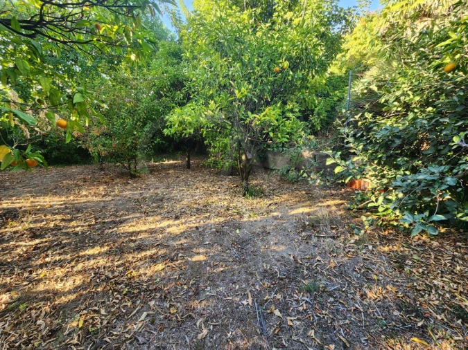 Terreno para Venda em Carcavelos e Parede Foto 6