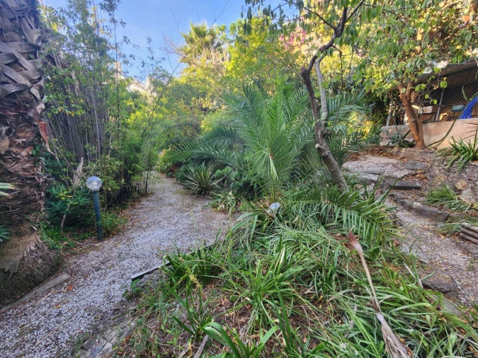 Terreno para Venda em Carcavelos e Parede Foto 7