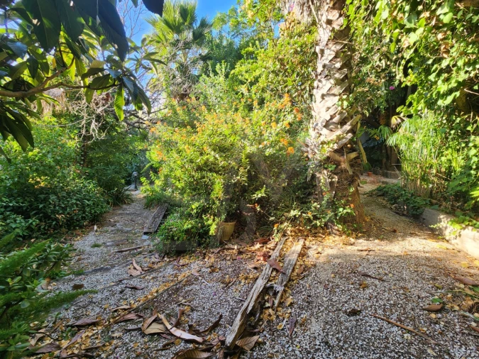 Terreno para Venda em Carcavelos e Parede Foto 9