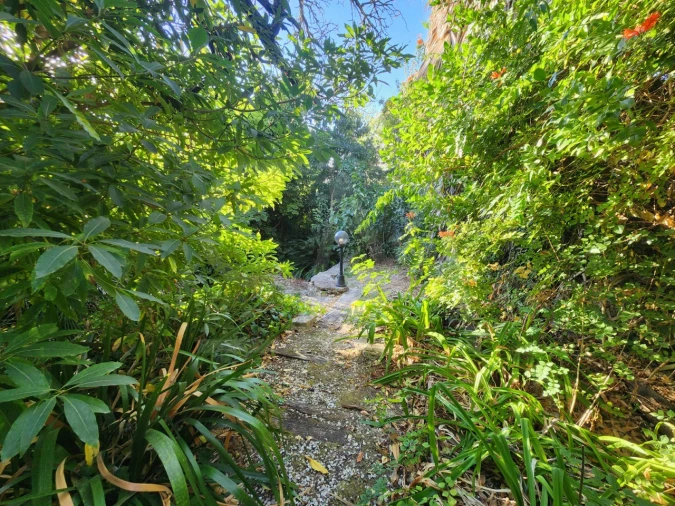 Terreno para Venda em Carcavelos e Parede Foto 11