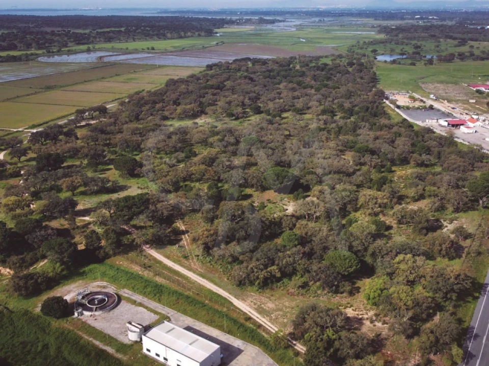 Terreno para Venda em Poceirão e Marateca Foto 5