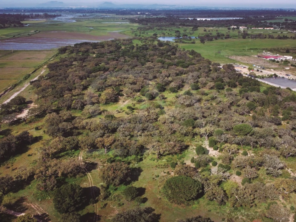 Terreno para Venda em Poceirão e Marateca Foto 9
