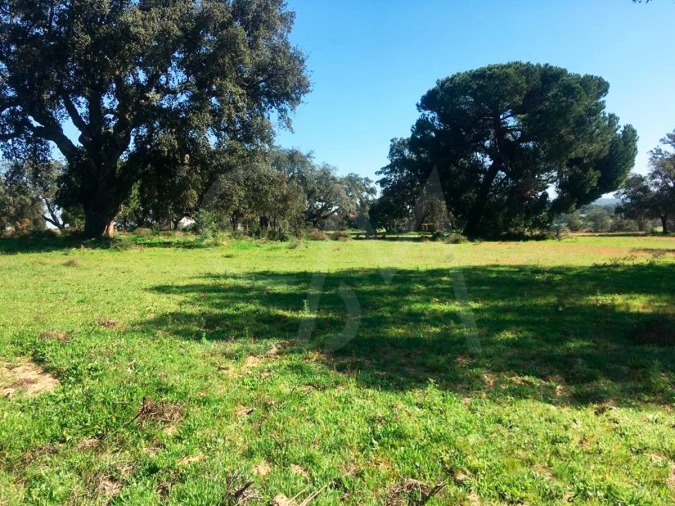 Terreno para Venda em Poceirão e Marateca Foto 15