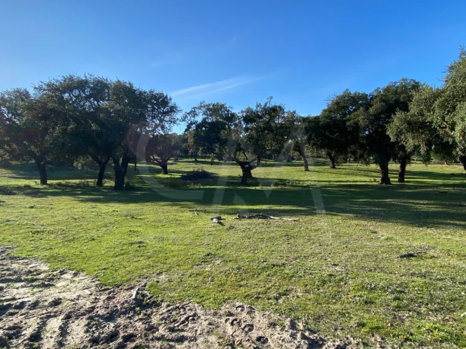 Terreno para Venda em Poceirão e Marateca Foto 19