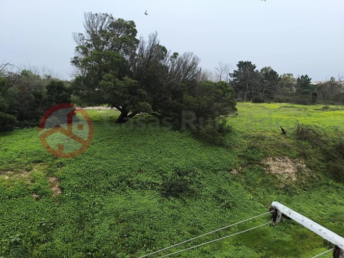 Apartamento T3 para Venda em Seixal, Arrentela e Aldeia de Paio Pires Foto 24