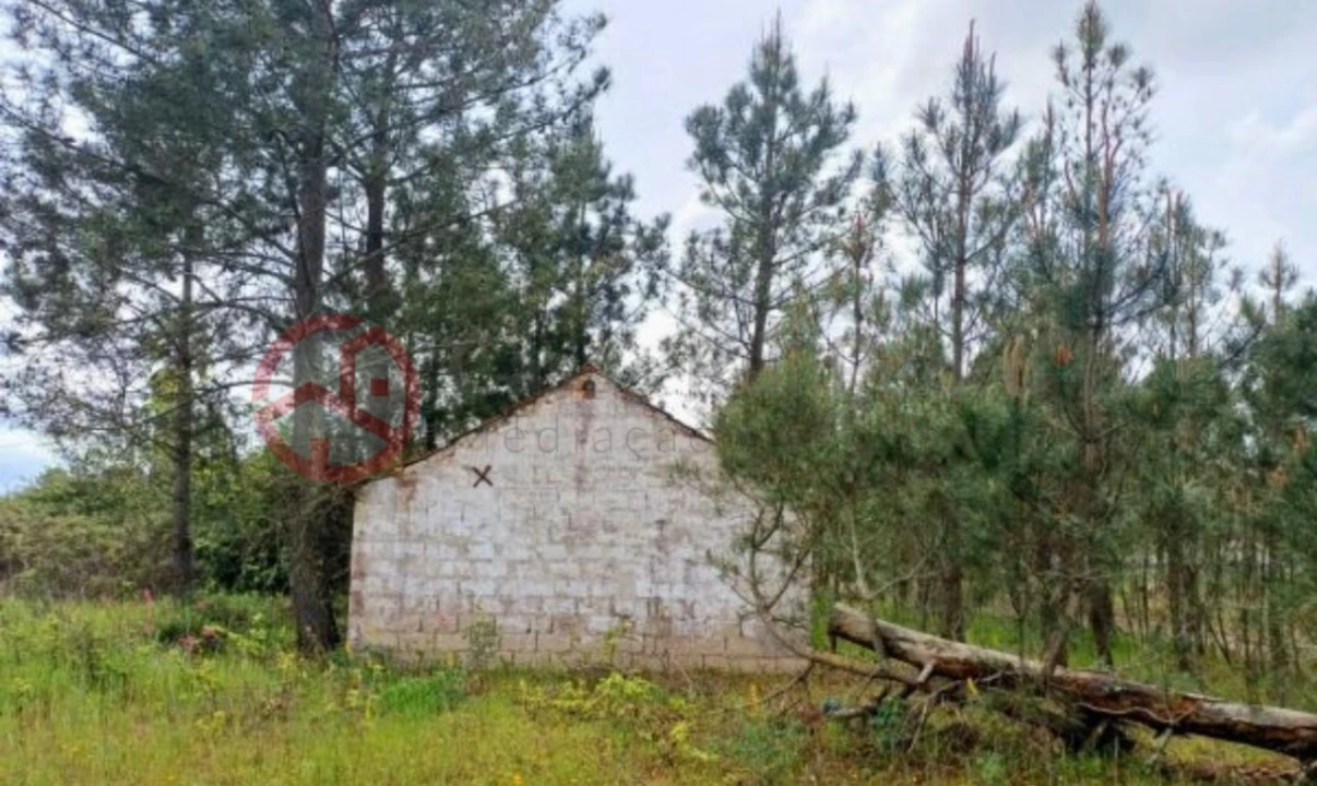 Terreno para Venda em Melides Foto 2