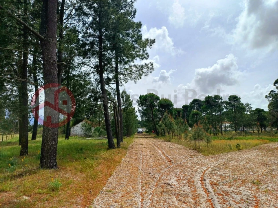 Terreno para Venda em Melides Foto 4