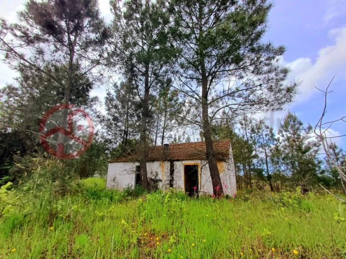 Terreno para Venda em Melides Foto 1
