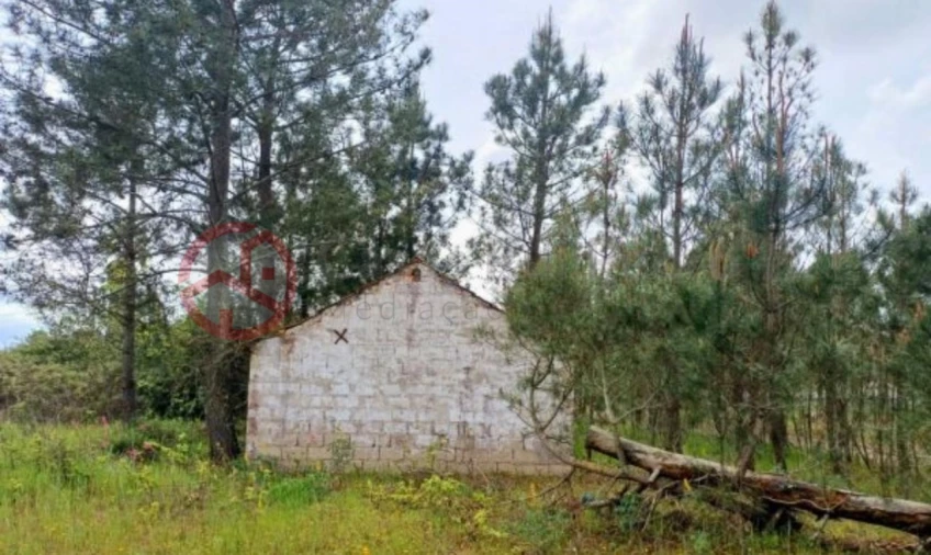 Terreno para Venda em Melides Foto 2