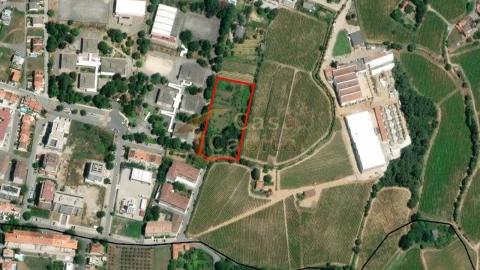 Terreno para Venda em Mateus