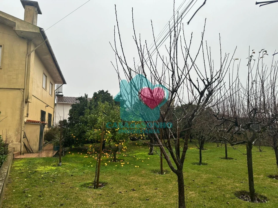 Moradia T3 para Venda em Pinheiro da Bemposta, Travanca e Palmaz Foto 3