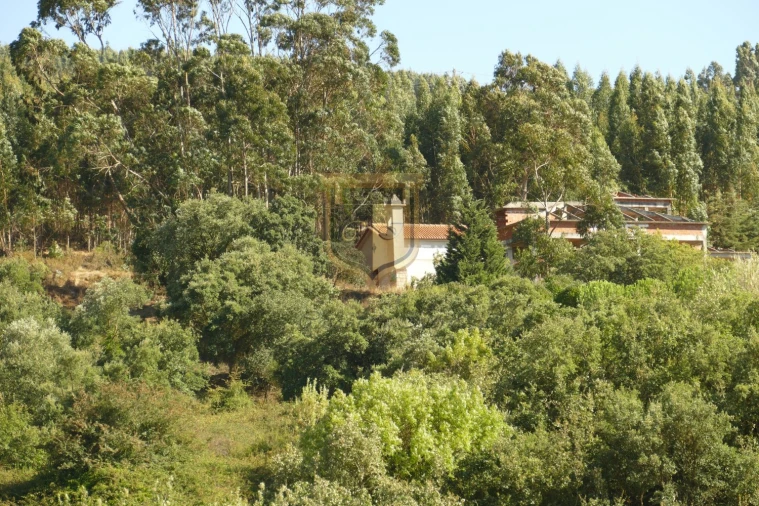 Quinta T6 para Venda em Turcifal Foto 22