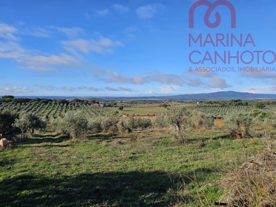 Quinta T0 para Venda em Pardais Foto 10