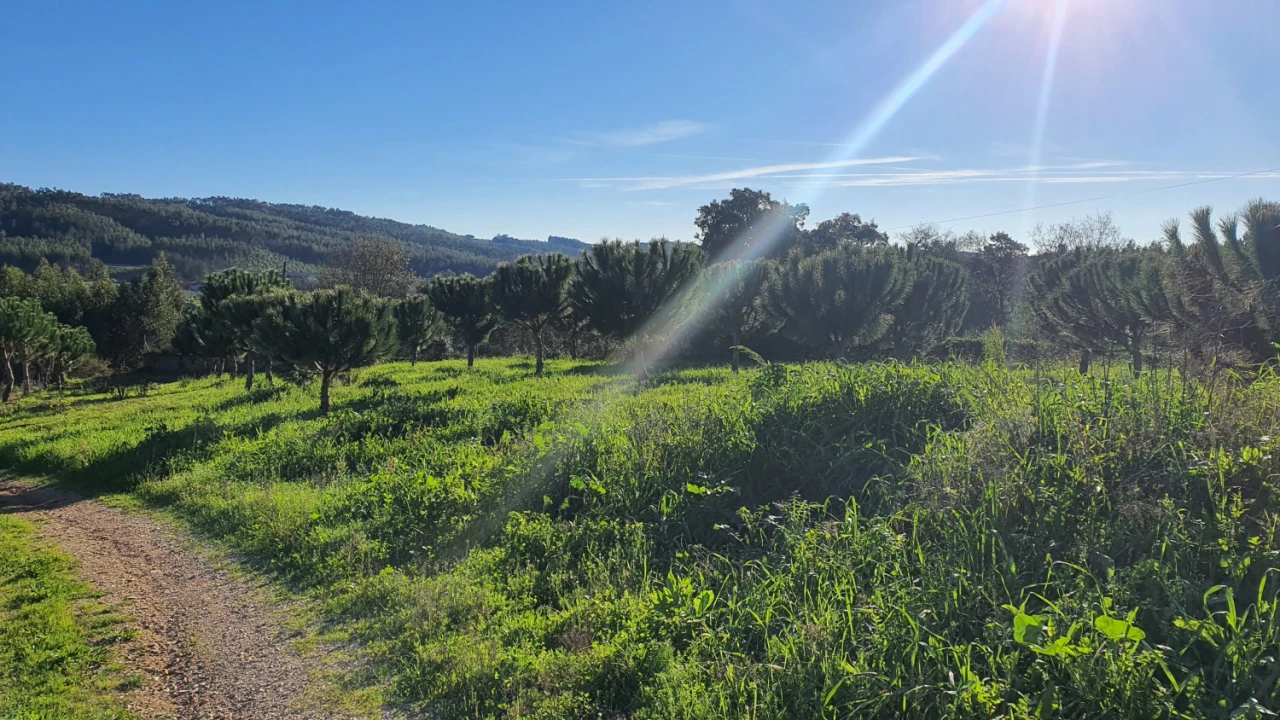 Moradia T0 para Venda em Ferreira do Zezere Foto 2