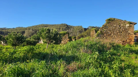 Moradia T0 para Venda em Ferreira do Zezere