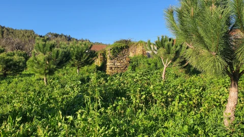 Moradia T0 para Venda em Ferreira do Zezere