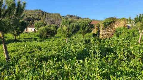 Moradia T0 para Venda em Ferreira do Zezere