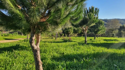 Moradia T0 para Venda em Ferreira do Zezere