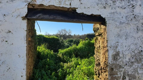 Moradia T0 para Venda em Ferreira do Zezere