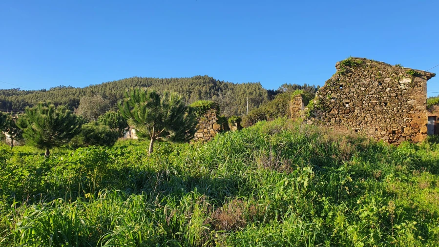 Moradia T0 para Venda em Ferreira do Zezere Foto 5