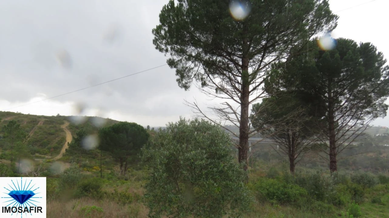 Terreno para Venda em Madalena e Beselga Foto 4