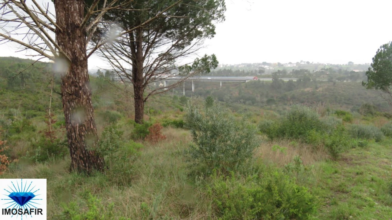 Terreno para Venda em Madalena e Beselga Foto 5