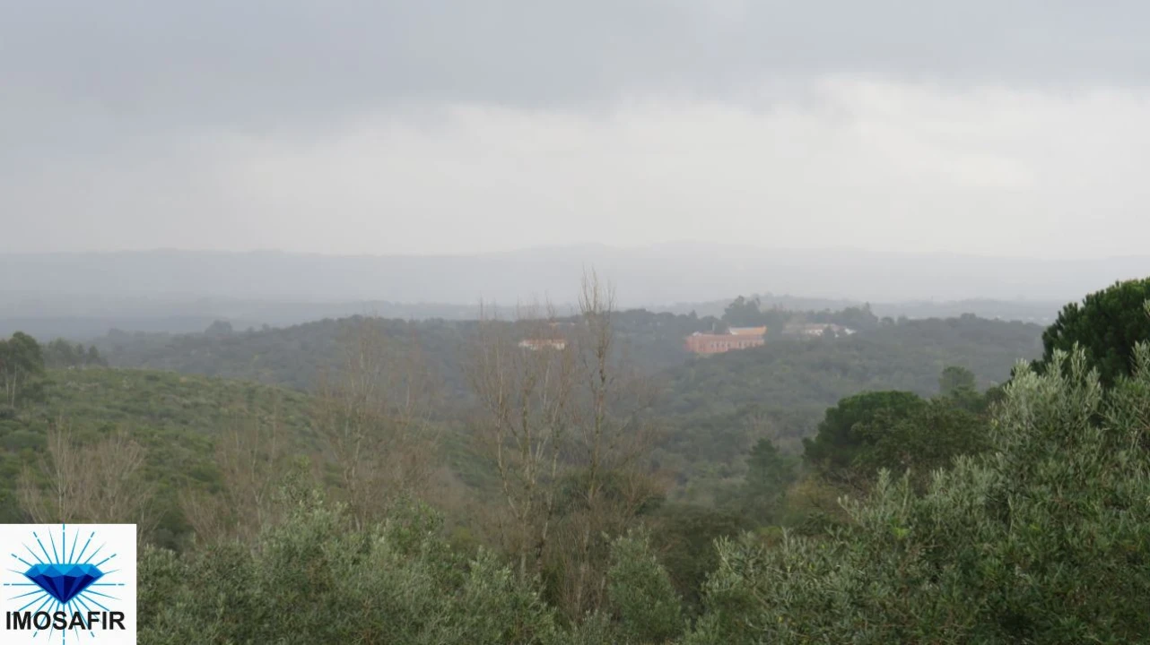 Terreno para Venda em Madalena e Beselga Foto 10