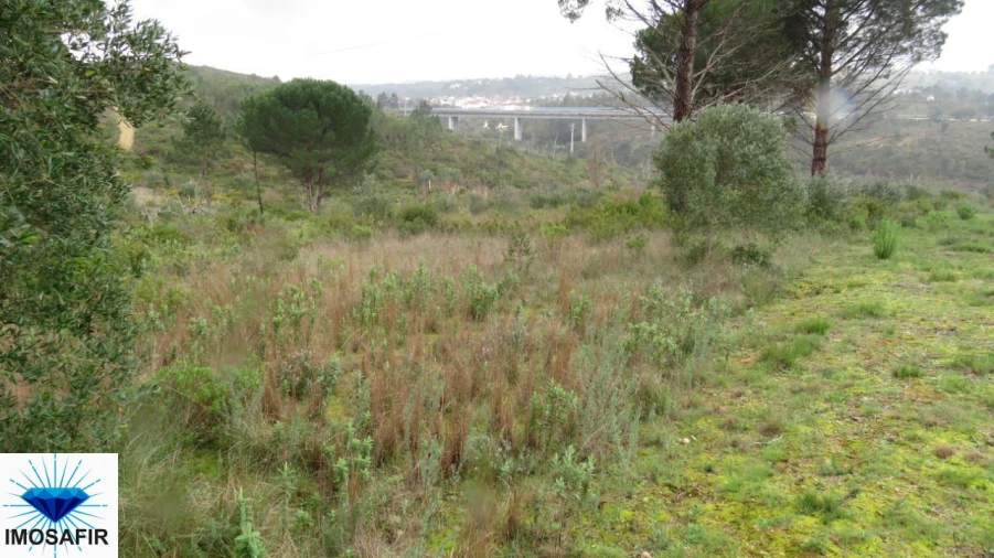 Terreno para Venda em Madalena e Beselga Foto 3