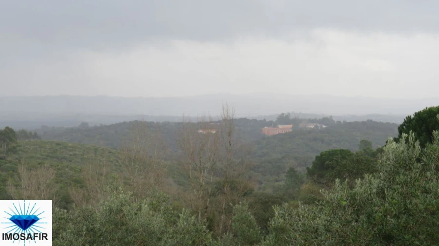 Terreno para Venda em Madalena e Beselga Foto 10