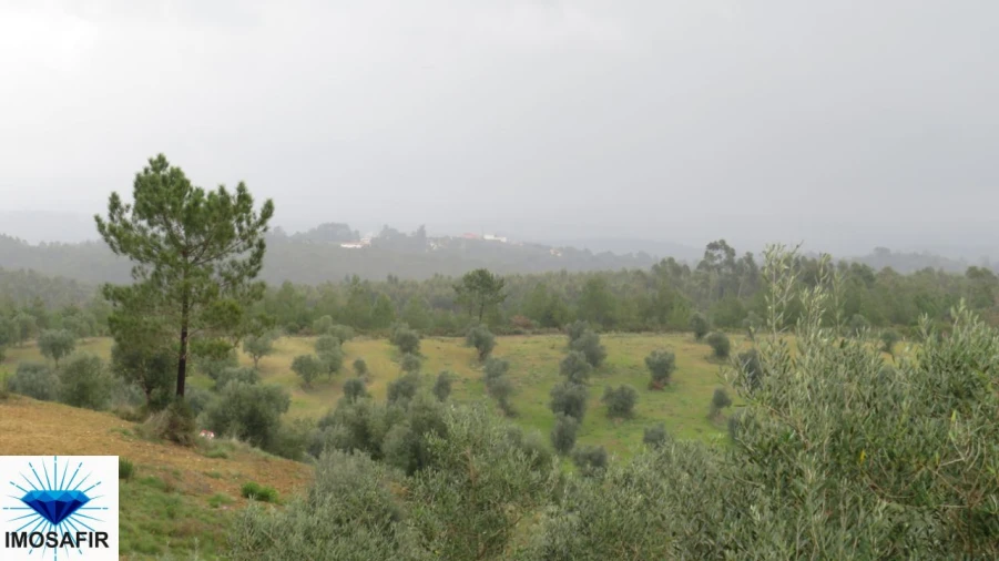 Terreno para Venda em Madalena e Beselga Foto 11