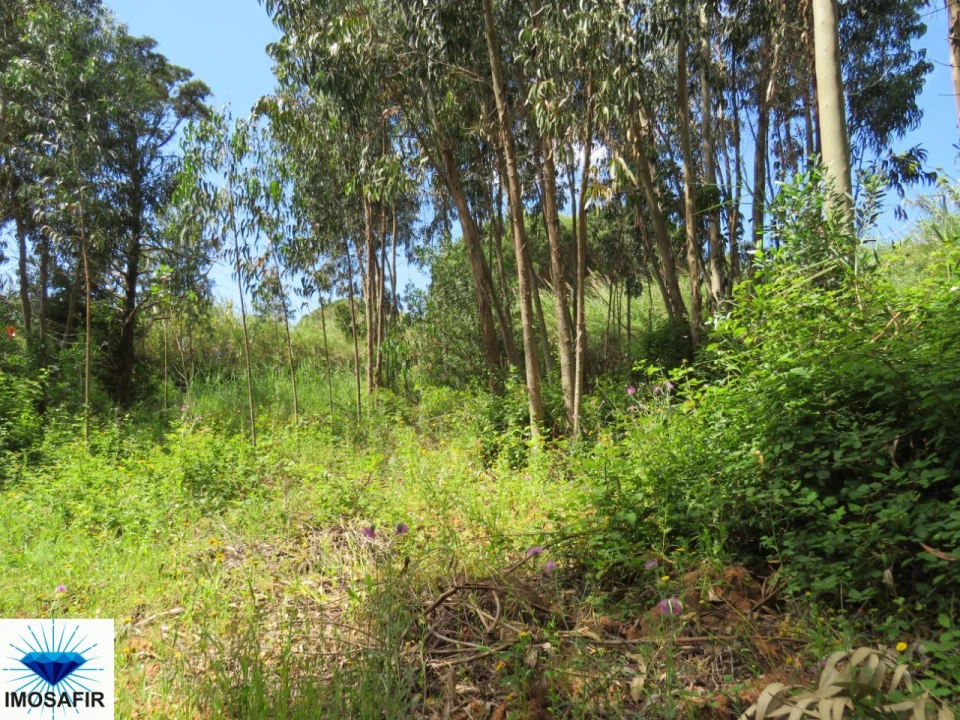 Terreno para Venda em Tavarede Foto 14