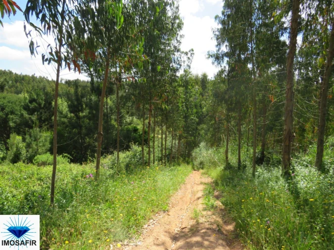 Terreno para Venda em Tavarede Foto 8