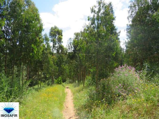 Terreno para Venda em Tavarede Foto 9