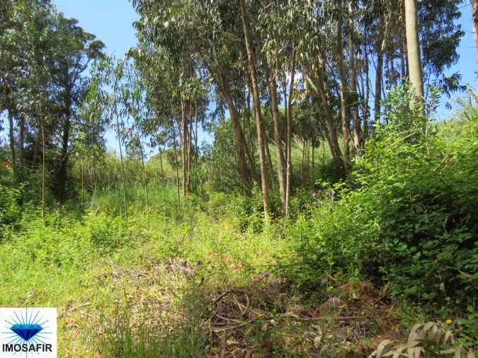 Terreno para Venda em Tavarede Foto 14