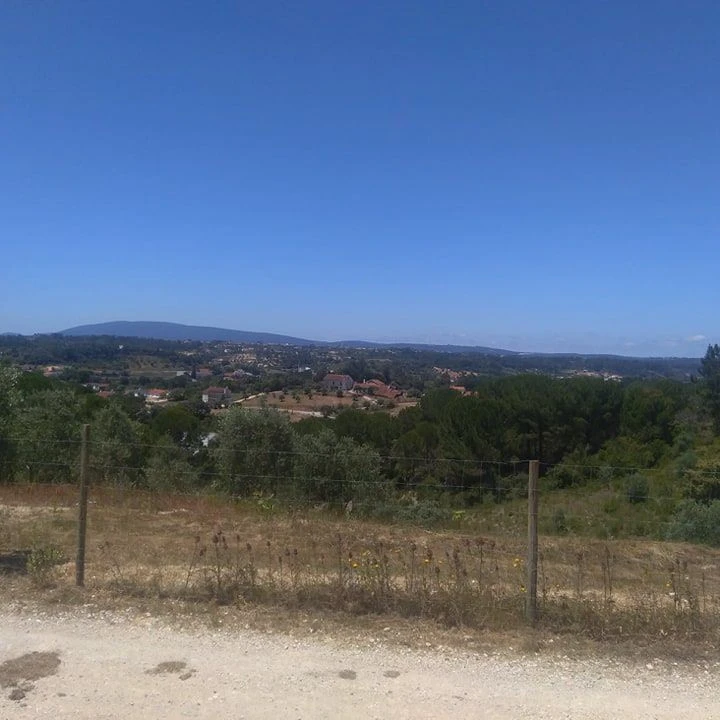 Terreno para Venda em Madalena e Beselga Foto 2