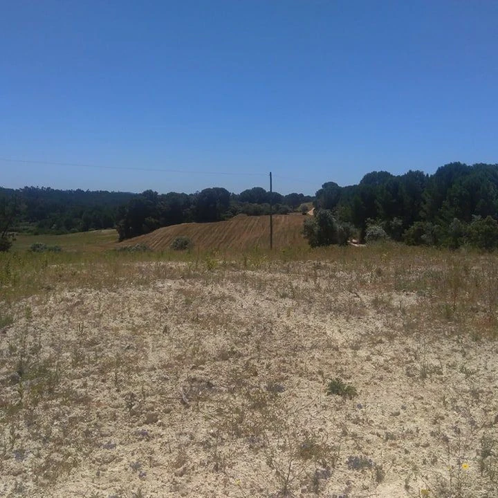 Terreno para Venda em Madalena e Beselga Foto 4