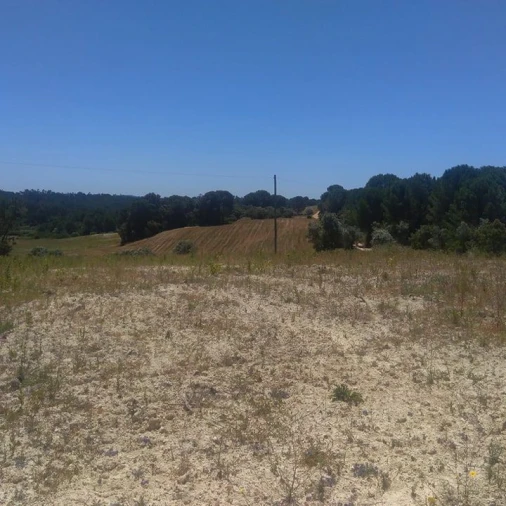 Terreno para Venda em Madalena e Beselga Foto 4