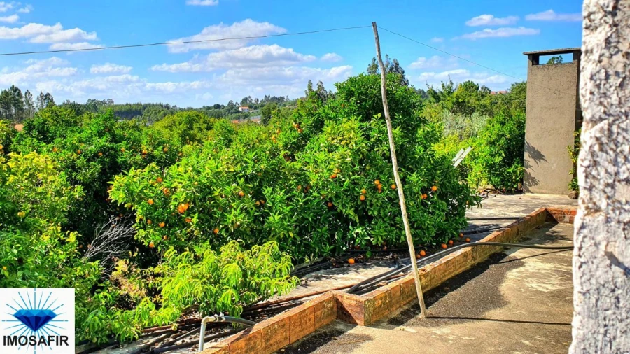 Quinta T4 para Venda em Igreja Nova do Sobral Foto 7