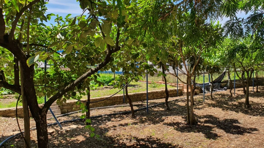 Quinta T7 para Venda em Marvila, Ribeira Santarém, São Salvador, São Nicolau Foto 30