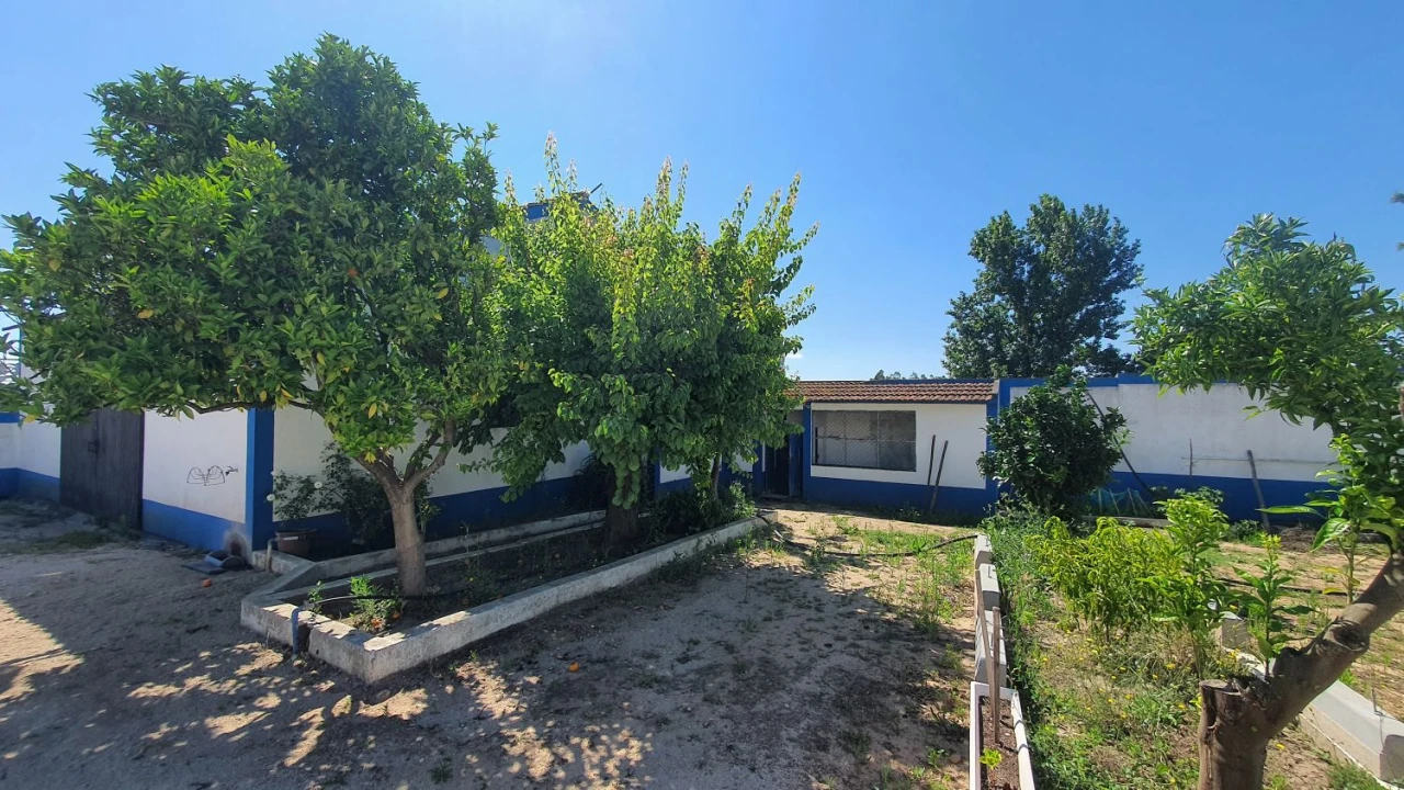 Quinta T7 para Venda em Marvila, Ribeira Santarém, São Salvador, São Nicolau Foto 46