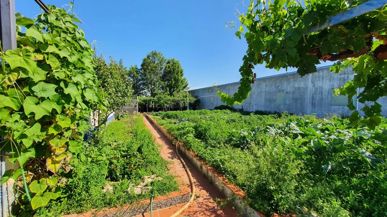 Quinta T7 para Venda em Marvila, Ribeira Santarém, São Salvador, São Nicolau Foto 52