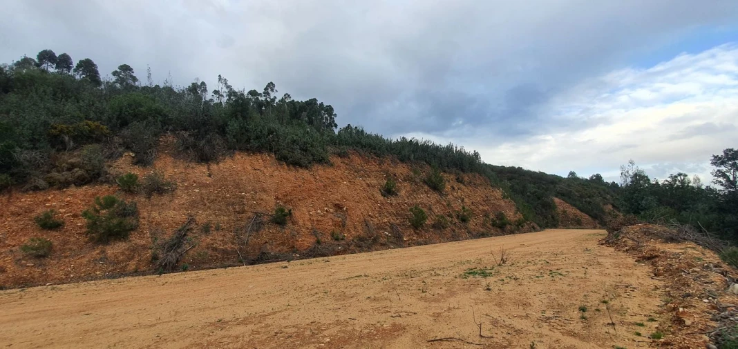 Terreno para Venda em Vila de Rei Foto 14