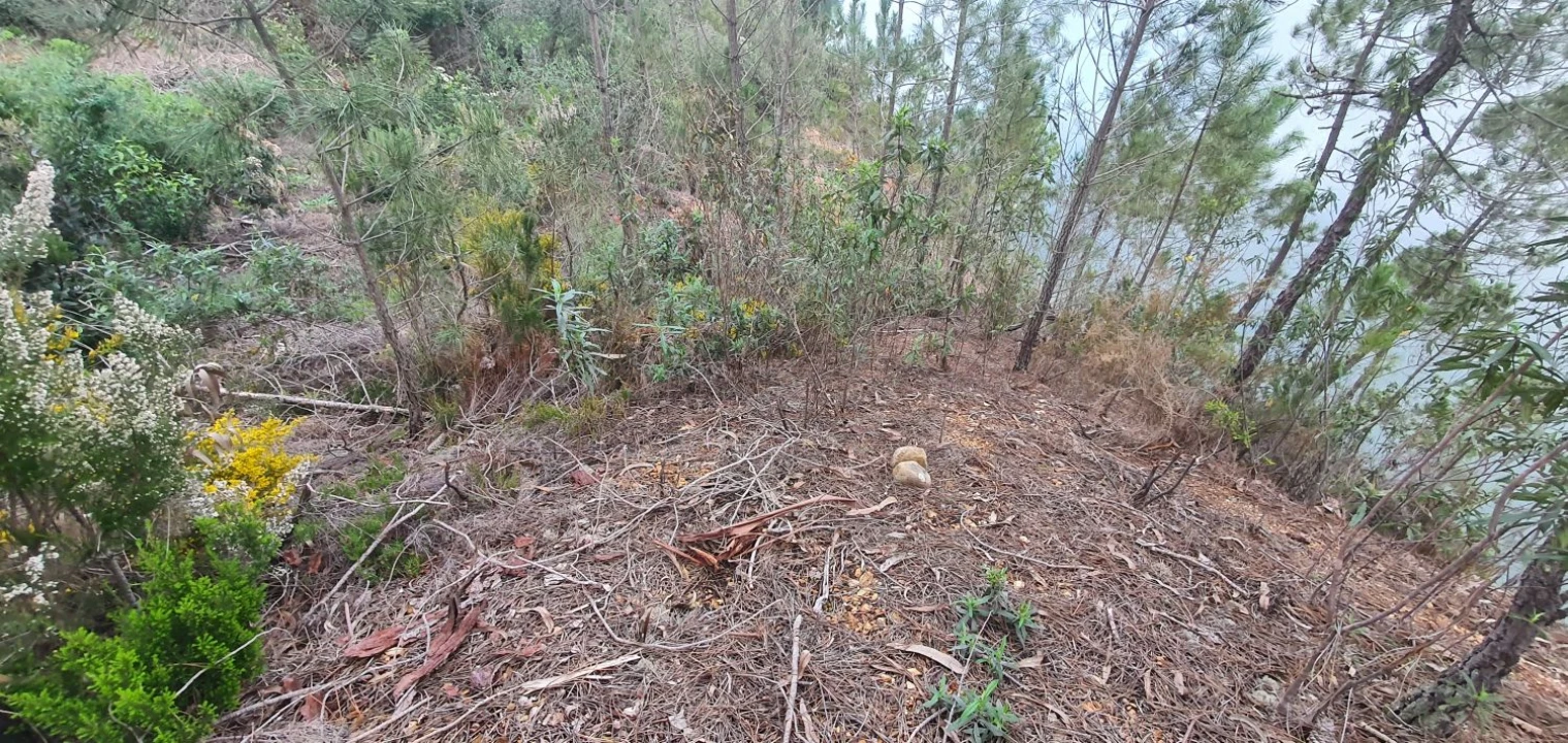 Terreno para Venda em Vila de Rei Foto 19