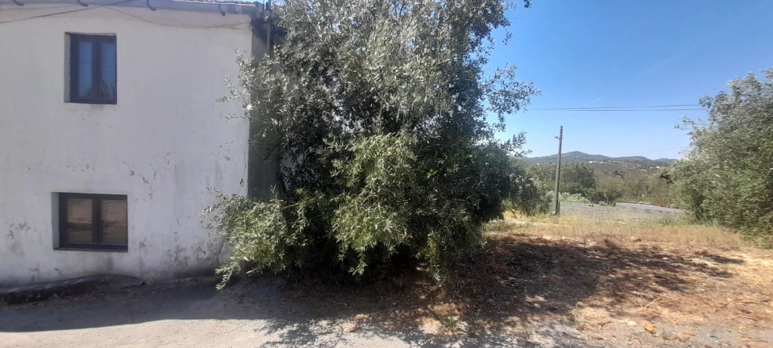 Moradia T3 para Venda em Mação, Penhascoso e Aboboreira Foto 8