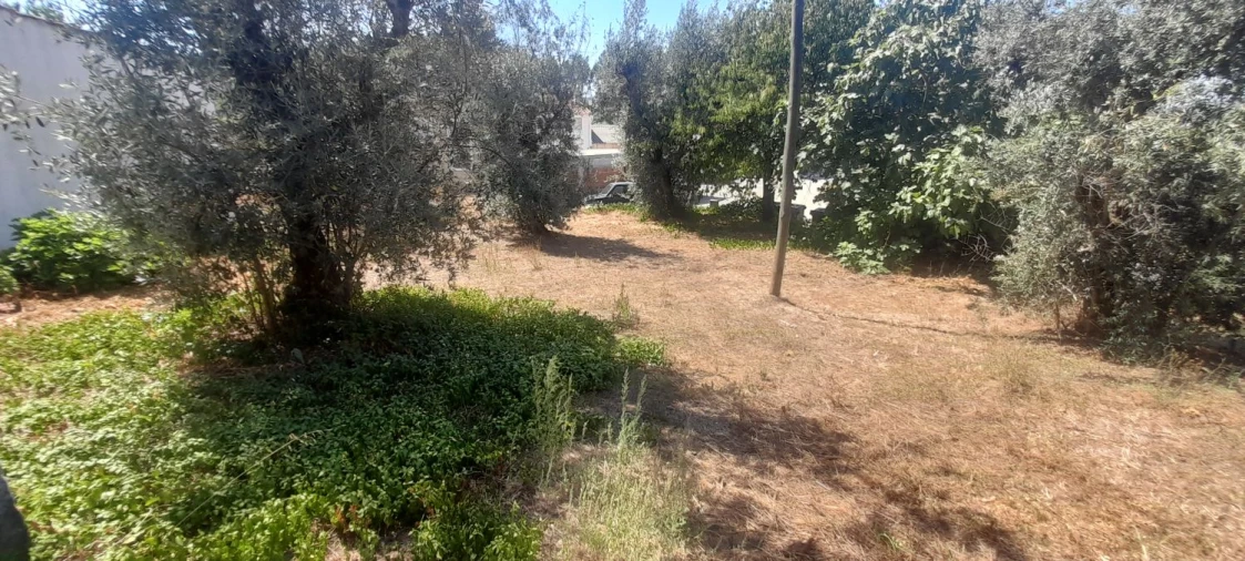 Moradia T3 para Venda em Mação, Penhascoso e Aboboreira Foto 20