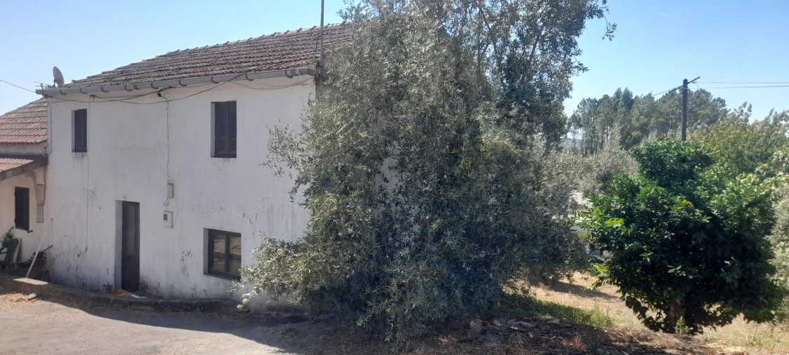 Moradia T3 para Venda em Mação, Penhascoso e Aboboreira Foto 9