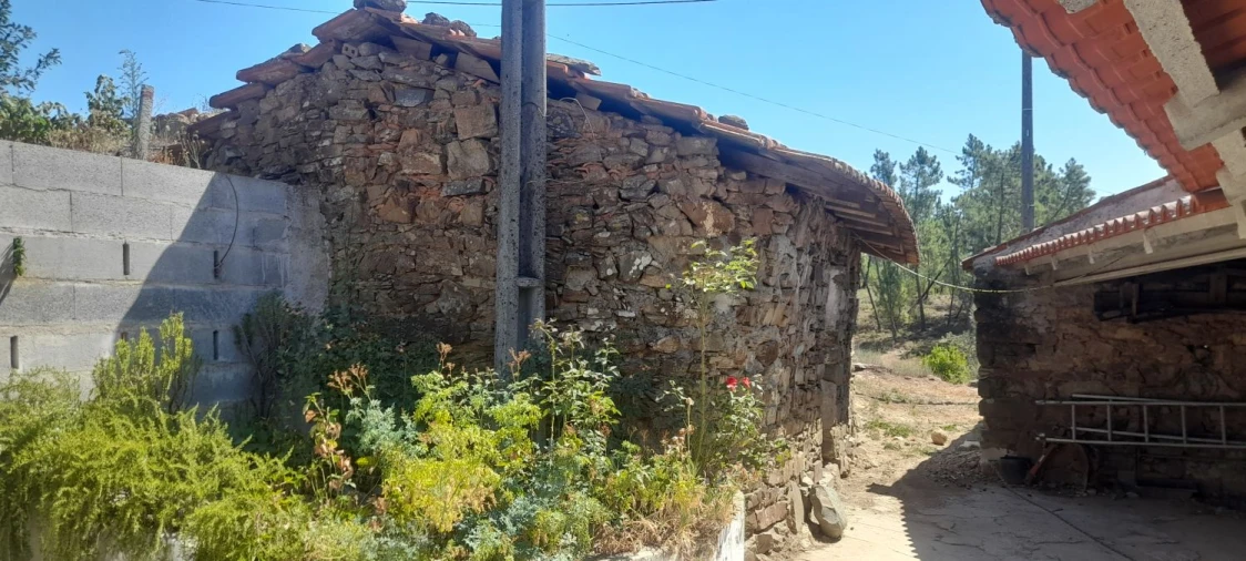 Moradia T3 para Venda em Mação, Penhascoso e Aboboreira Foto 6