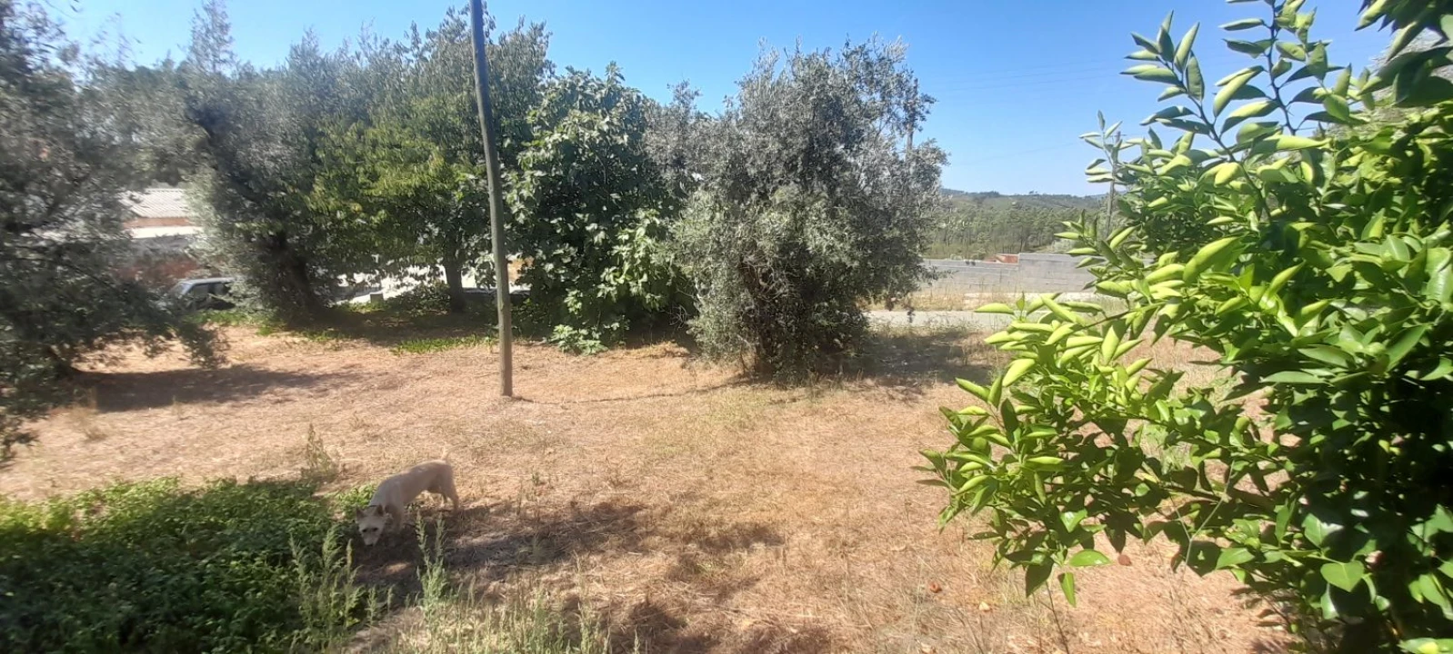 Moradia T3 para Venda em Mação, Penhascoso e Aboboreira Foto 17